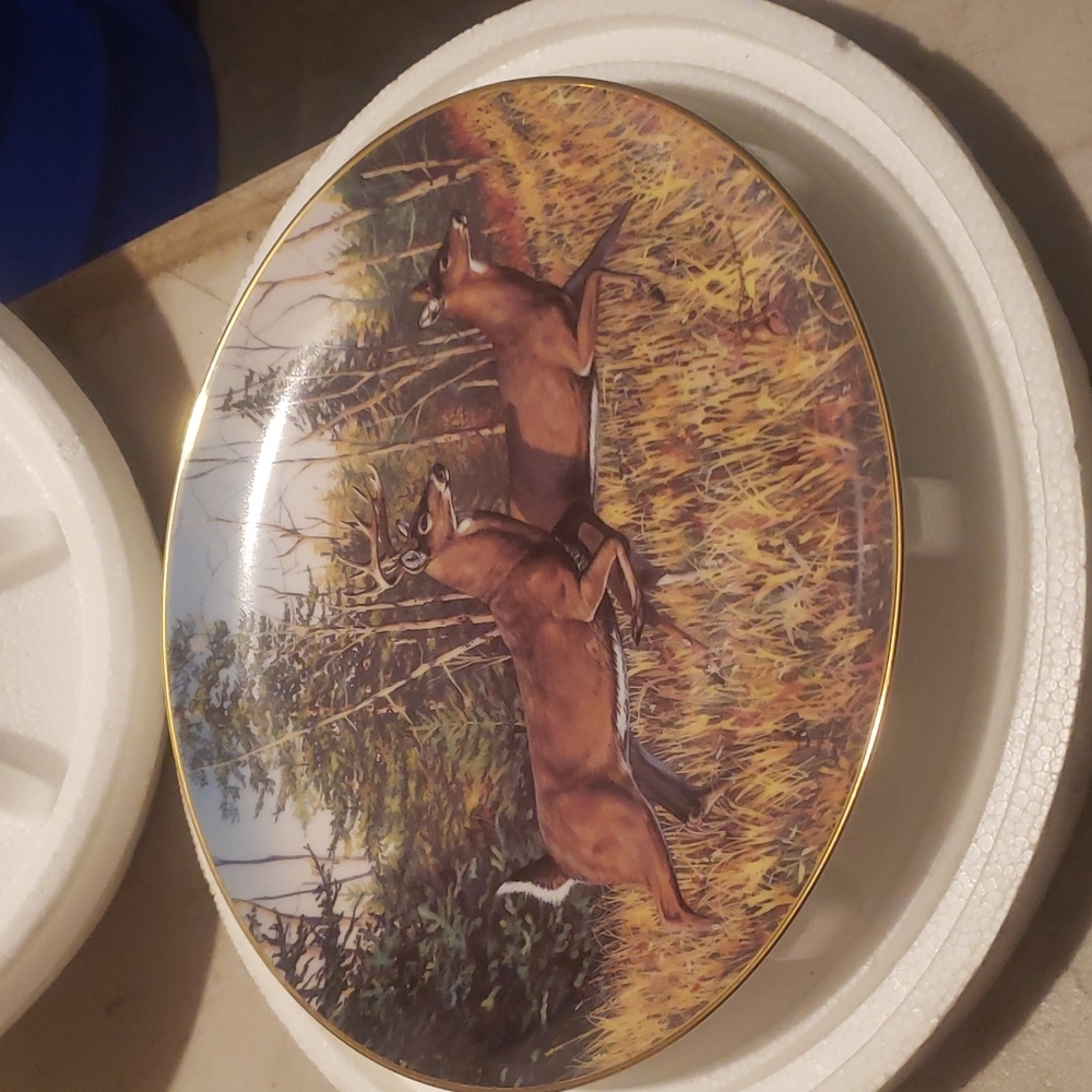 INDIAN SUMMER  FLIGHT COLLECTOR PLATE